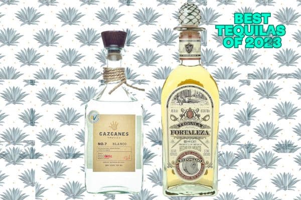 The Best Tequilas of 2023 Under $100